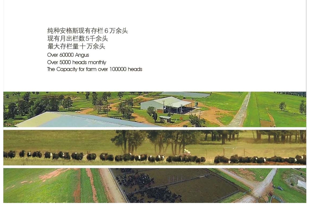 浙江新東陽建設(shè)集團有限公司